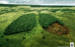 écologie,planète,terre,ressources,environnement,population