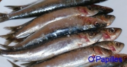poissons-consommation01.jpg