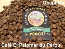 cafe-perou.jpg