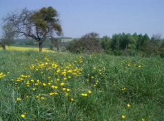 sortiesVO-marais-frocourt.png