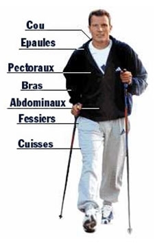 marche,marche nordique,sport,randonnée,randonnée pédestre,santé