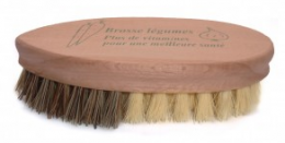 brosse-legumes.png