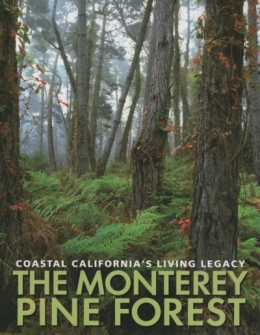 bois,foret,déforestation,espèces menacées,pin