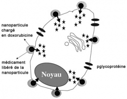 nanoparticules,nanotechnologie,sciences,santé,argent,expériences,pollution,environnement,energie