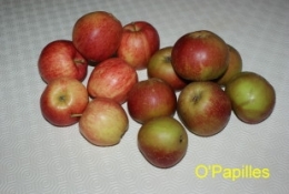 pommes-panier011008.jpg