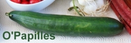 concombre01.jpg