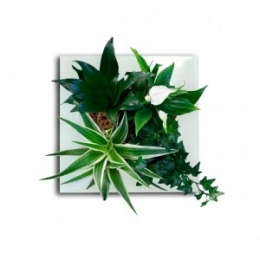 tableau-vegetal.jpg