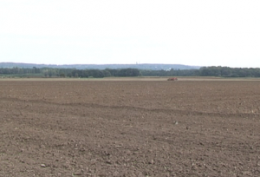 foret,bois,ile de france,écologie,environnement,pollution,métaux lourds