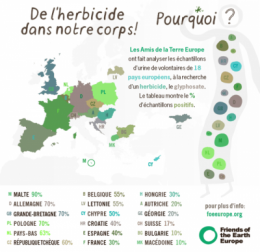 pesticides,herbicide,santé,monsanto,roundup,médecine,alimentation