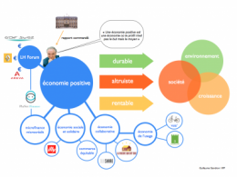 sciences humaines,économie,ong,travail,environnement