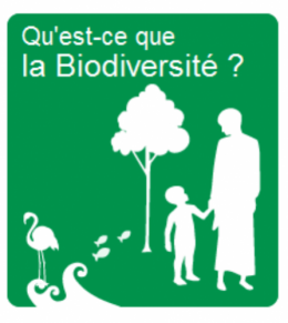 biodiversite-parc01.png
