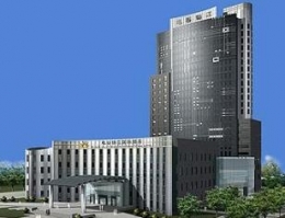 photovoltaïque,solaire,énergies renouvelables,chine,environnement,co2,carbone