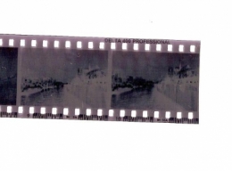 photographie,photos,mémoire,cerveau,arts,sciences