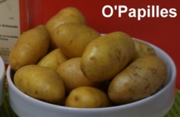 pdt-ditta.jpg