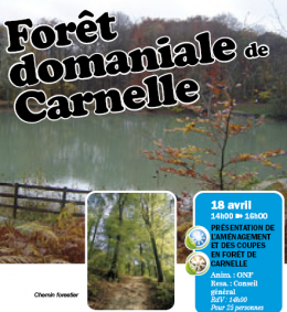 sorties-nature2010-02.png