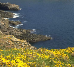 mer,méditerranée,pollution,biodiversité,pêche,cnrs