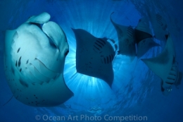 mer,ocean,photographie,photos,concours photographique,concours photos,concours,pêche