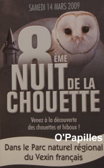 nuit-chouette.jpg