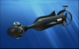 coraux,écosystème,biodiversité,film,australie,océanie,requin,photographie