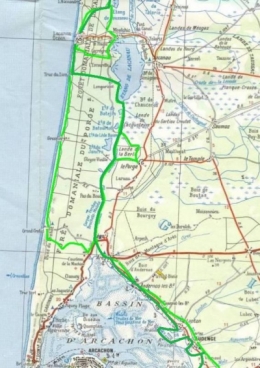 gironde,aquitaine,foret,pin