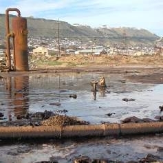petrole.jpg