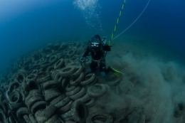 expériences,pollution,mer,méditerranée,pêche,poissons,environnement