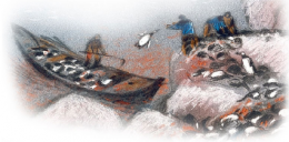 fleuve-st-laurent04bis.png