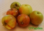panier-jonagold-26nov08.jpg