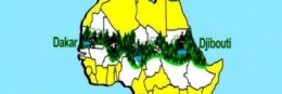 déserts,afrique,écologie,environnement,foret