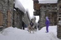 grandeodyssee2010-3.jpg