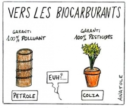 biocarburants,énergies renouvelables,énergies,environnement,atmosphère,agriculture,gaz à effets de serre
