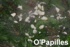 epinards-lentilles-epices02.jpg