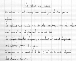 volcans,séismes,enfant,sciences,éducation,ile,océan