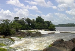 biodiversité,guyane,brésil,pnr,population