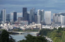 ville,arbre,changements climatiques