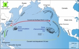 mer,océan,déchets,japon