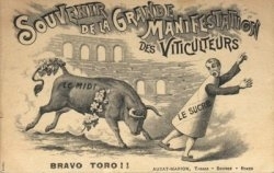 vin,viticulture,terroirs,cépage,europe