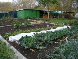 jardin-ouvrier01.jpg