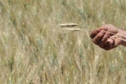 afrique,sécheresse,faim,population,agriculture,météo