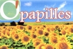 francois-opapilles003.jpg