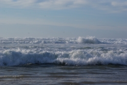 DSC09719.JPG