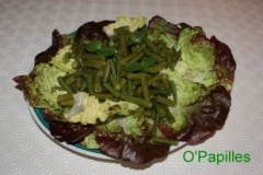 haricotsverts02.jpg