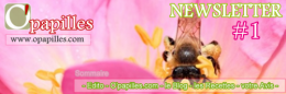logonewsletter.png