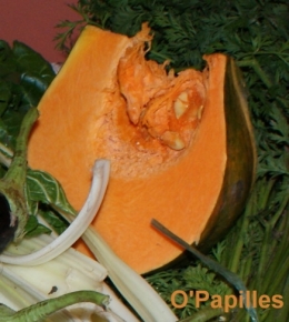 potiron-musque-provence01.jpg