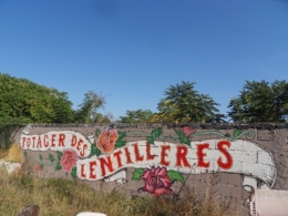 potagers,collectif,maraîchage,jardinage,sciences sociales
