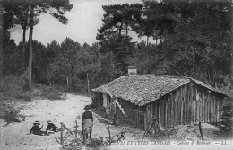 foret,bois,aquitaine,landes,pin,patrimoine