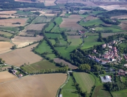 arbres,agriculture,agriculture durable,environnement,écosystème,terre