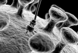 nanoparticules,carbone,aluminium,bactéries,écologie