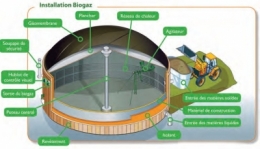 méthane,énergies renouvelables,électricité,eau,déchets,vache