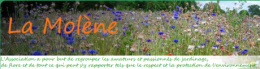 jardin,jardiner bio,plantes,alimentation,santé
